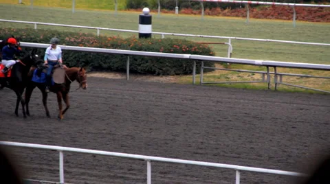 Horse Racing 14 - warm ups Stock Footage 1079396