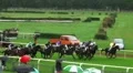 Horse Racing 20110911-155346 HD Footage
