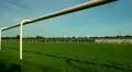 Horse Racing 20120909 164818 HD Footage