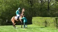 Horse Racing course entering difficulties HD Footage