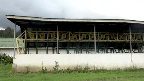 Horse racing course Stock Footage 256158781