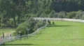 Horse Racing final run on last meters HD Footage