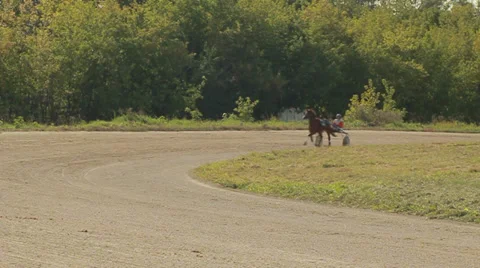 Horse racing Vídeo Stock 29654624