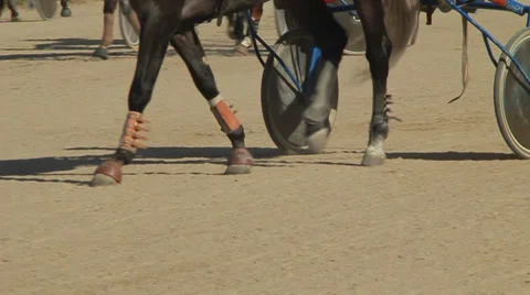 Horse racing 動画素材 29654690