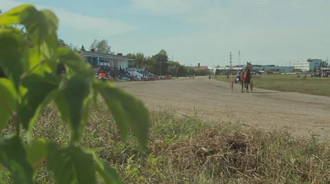 Horse racing 動画素材 29654703