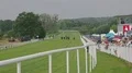 Horse racing on grassland race track by bad rainy weather in Harz mountain range 4k or 4k+ Resolution