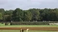 Horse Racing with horse running without jockey HD Footage