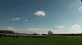 Horse Racing horses and jockeys enter the course HD Footage