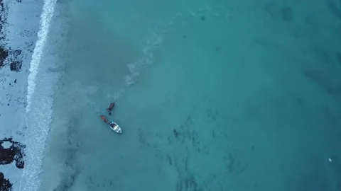 Horse racing horses being exercised at sunrise swimming in the ocean behind a Stock Footage 155178024