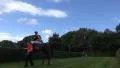 Horse Racing jockey on horse leaded to the course HD Footage