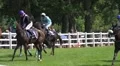 Horse Racing lucky winner enjoys his win of the race HD Footage