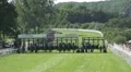 Horse Racing moments before the start HD Footage