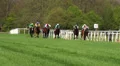Horse Racing in motion HD Footage