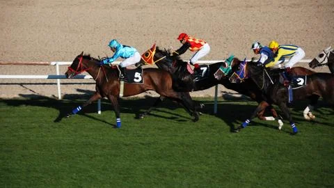 Horse racing Stock Photos