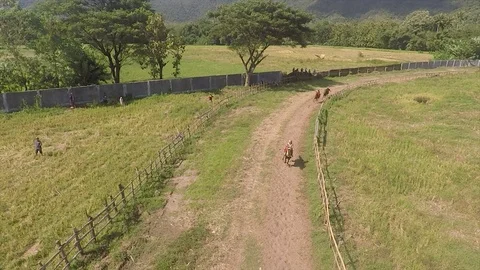 Horse racing seen through drones sumbawa indonesia Stock Footage 120159390