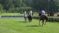 Horse Racing show jumpers check the hurdle HD Footage