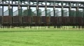 Horse Racing start boxes still HD Footage