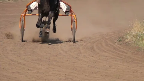 Horse Racing Of The Wagons Video stock 113573704