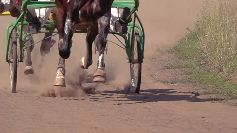 Horse Racing Of The Wagons Vídeos de archivo 114566268