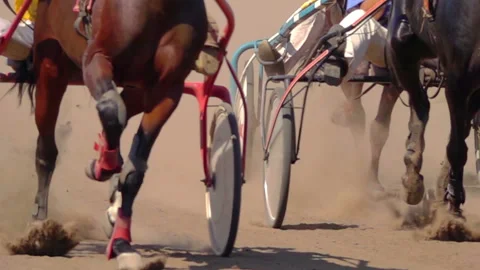 Horse Racing Of The Wagons Vidéo 116892338