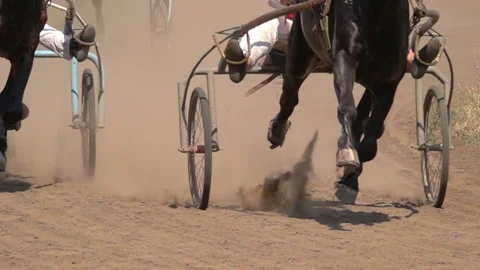 Horse Racing Of The Wagons Видео 120092948