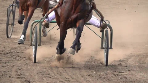 Horse Racing Of The Wagons Vidéo 167074982