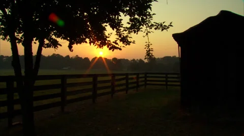 Horse Ranch 動画素材 35285463