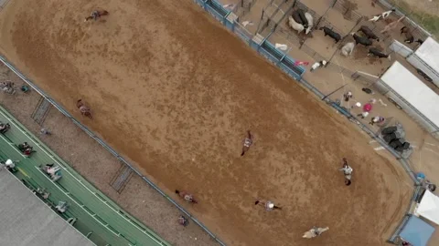 Horse ranch Stock Footage 143806282