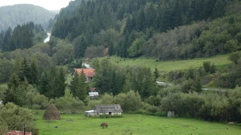 A Horse at the Ranch in Nature Video stock 95771570