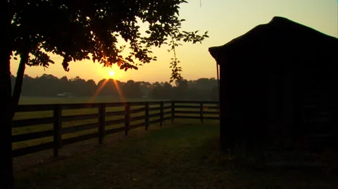 Horse Ranch Sunrise Stock Footage 35285769