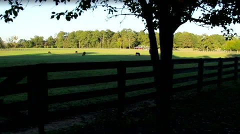 Horse Ranch at Sunset Video stock 44625724