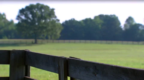 Horse Ranch Wrack Focus 動画素材 35349623