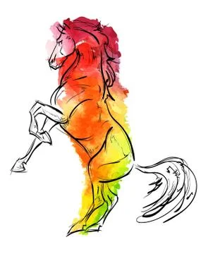 The horse a rearing. Hand-drawn vector illustration  in watercolor drawing .. Stock Illustration
