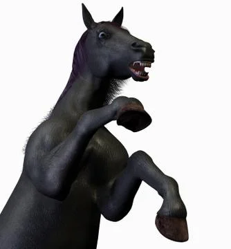 Horse Rearing Stock Illustration