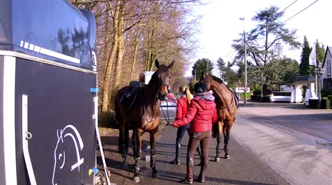 Horse ride. Stock Footage 34361894