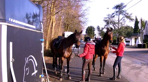 Horse ride. Stock Footage 34364511