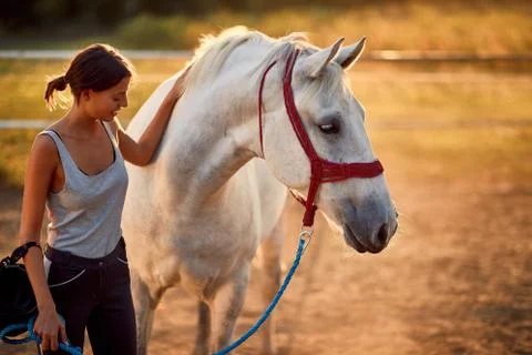 Horse rider developing a healthy relation with her horse Stock Photos