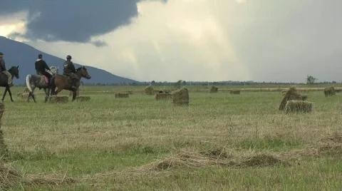 Horse riders Stock Footage 777328