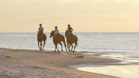 Horse riding on beach during sunset in Poland Stock Footage