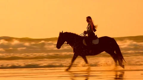 Horse riding on the beach at sunset | Stock Video | Pond5