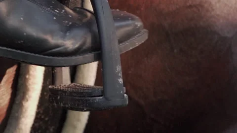 Horse riding closeup Stock Footage 219923620