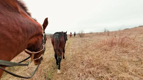 Horse riding with a foal Stock Footage 261284024