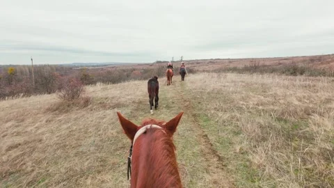 Horse riding with a foal Stock Footage 261286679