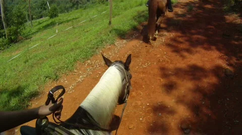 Horse Riding  Stock Footage 857500