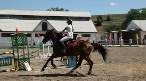 Horse riding. Stock Footage 11101762