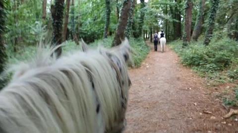 Horse riding 動画素材 47551444