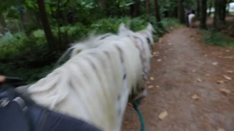 Horse riding 動画素材 47552889