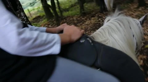 Horse riding 動画素材 47553984
