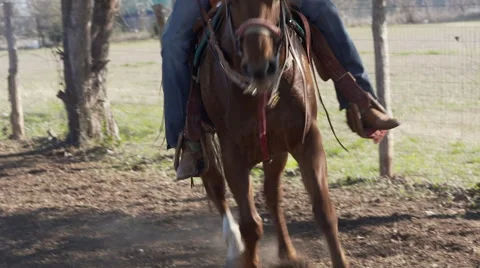 Horse riding 動画素材 62910126