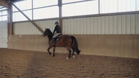 Horse Riding Vídeo Stock 103399782